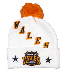 2024 NHL All Star Mitchell & Ness Men's Wales Vintage Toque