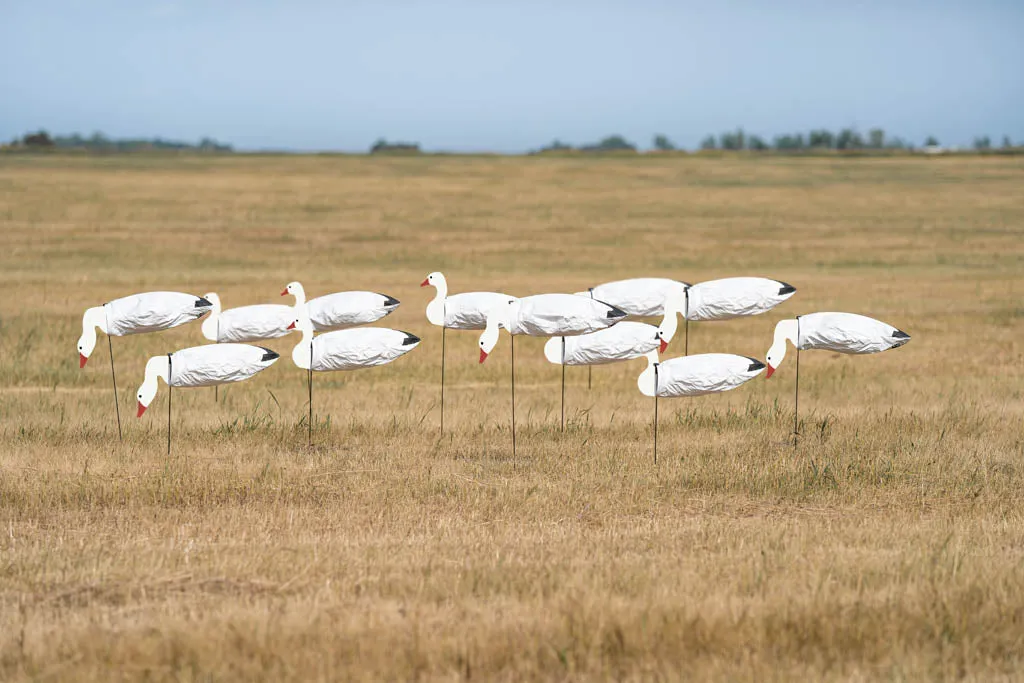 GHG Pro-Grade Snow Goose Sock Decoys