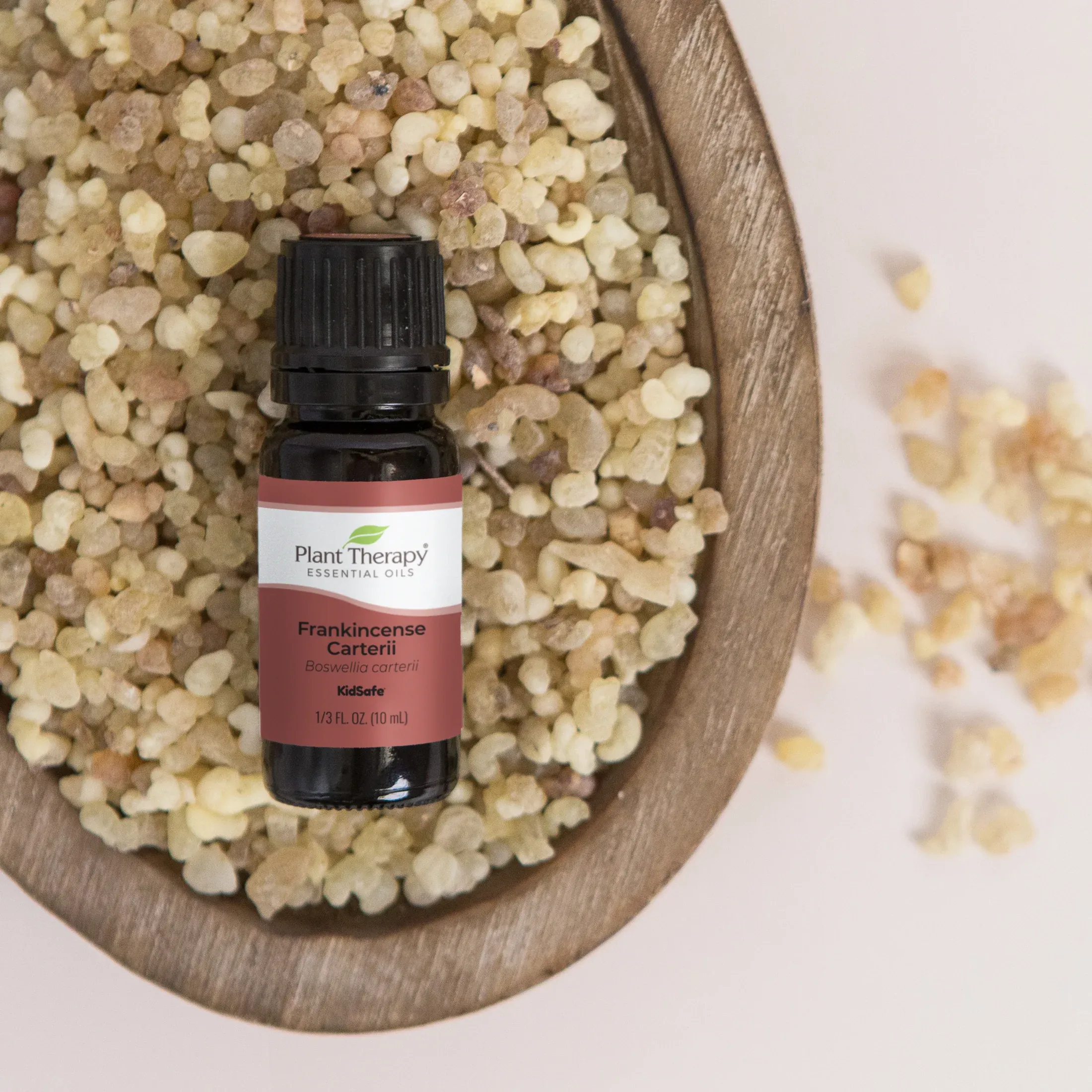 Plant Therapy Frankincense Carterii Essential Oil